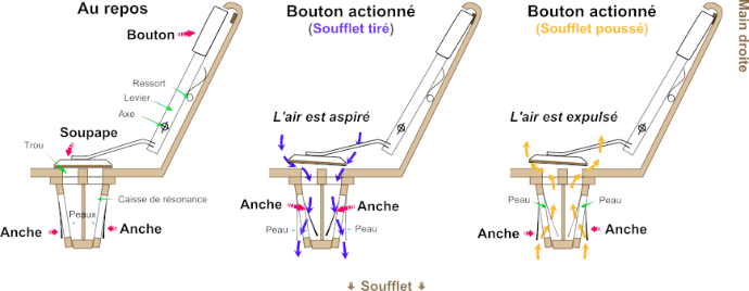 Fonctionnement des anches Schéma de principe de l'anche