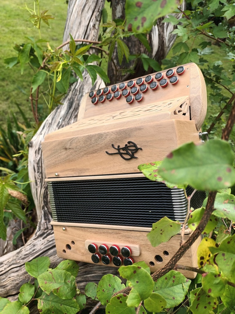 Accordéon diatonique Jig+