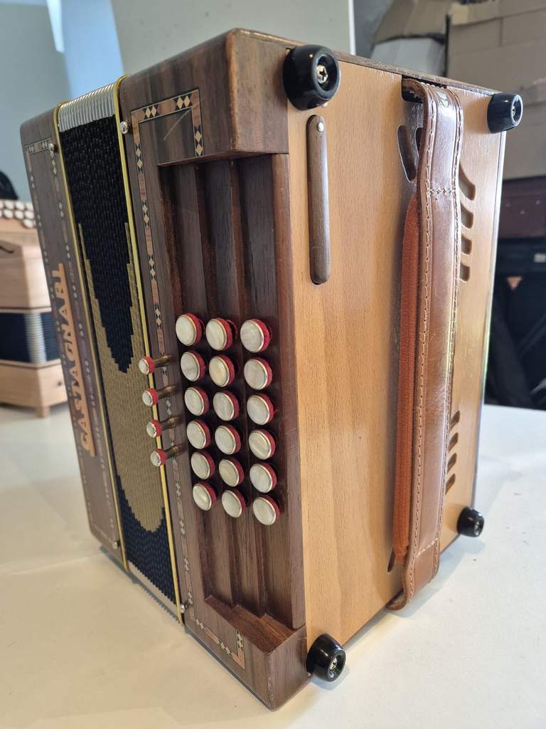 Castagnari Handry 18 - 18 basses registres main gauche